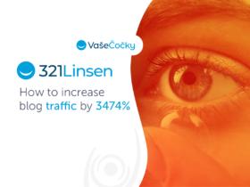 321Linsen.de/VašeČočky.cz: How to increase blog traffic by 3474%